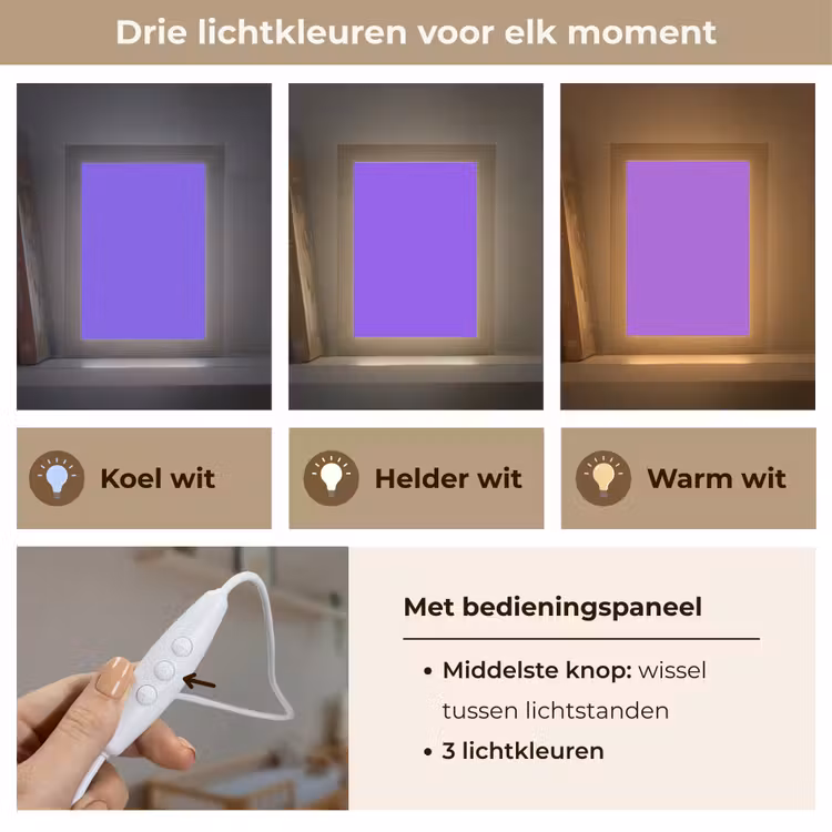 Vivid - Violet - Paars Light Box met kabel (Wandlamp) klein 929 -USP_lichtkleurNL