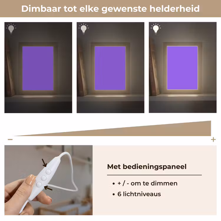 Vivid - Violet - Paars Light Box met kabel (Wandlamp) klein 929 -USP_dimbaarNL