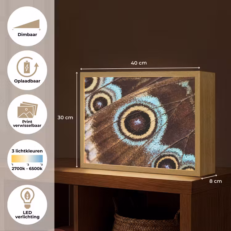 Vleugels - Vlinder - Blauw Light Box met batterij (Wandlamp) middel -USP_websiteoverzichtNL
