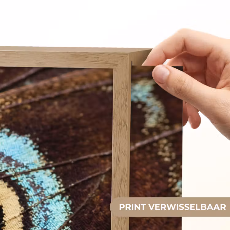 Vleugels - Vlinder - Blauw Light Box met batterij (Wandlamp) middel -USP_websiteprintNL