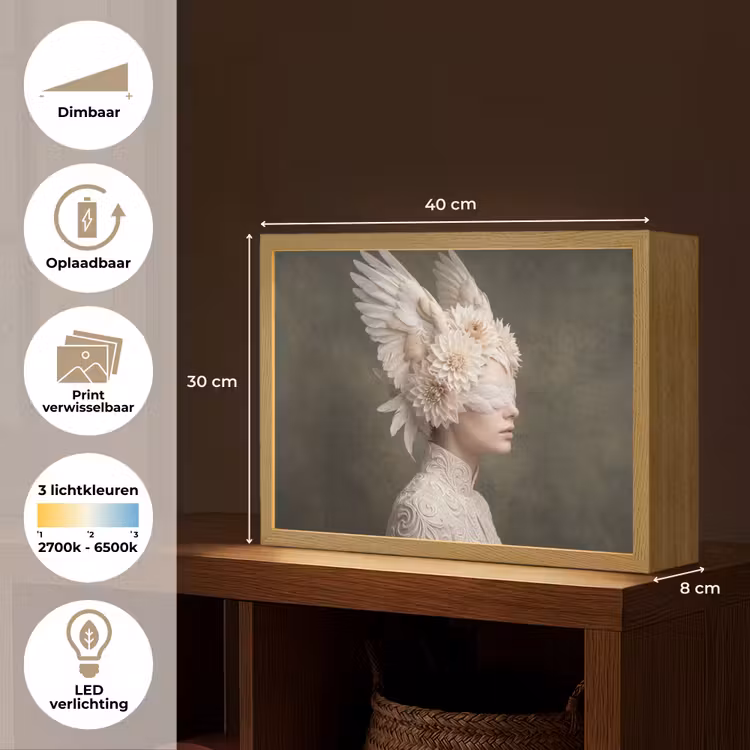 Vleugels - Vrouw - Wit Light Box met batterij (Wandlamp) middel -USP_websiteoverzichtNL
