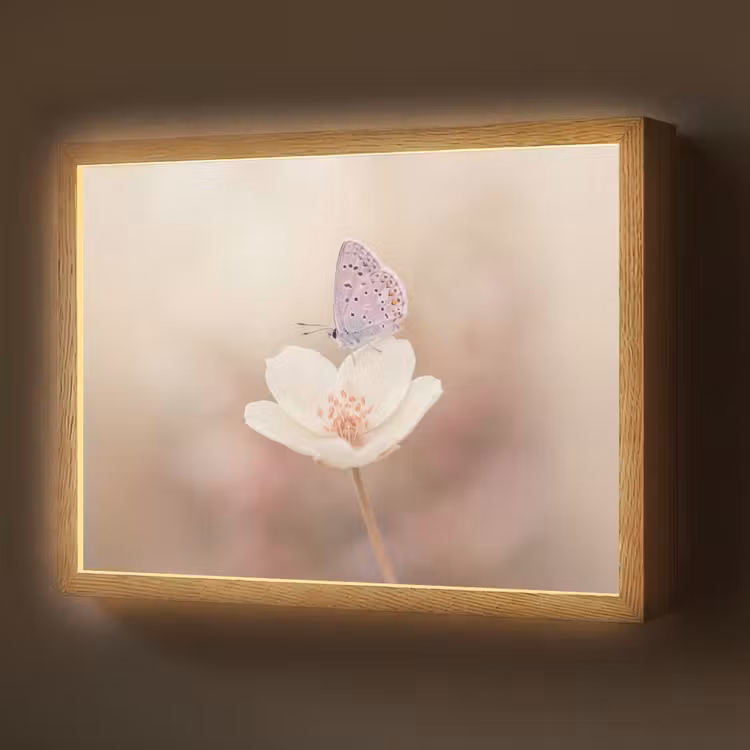 Vlinder - Bloem - Blauw Light Box met batterij (Wandlamp) middel -z3d_website