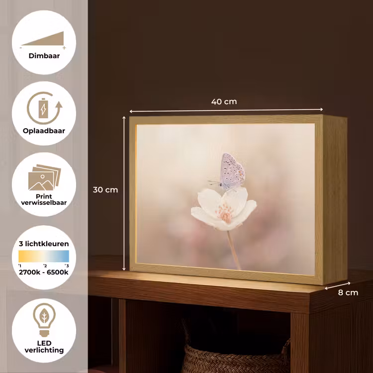 Vlinder - Bloem - Blauw Light Box met batterij (Wandlamp) middel -USP_websiteoverzichtNL