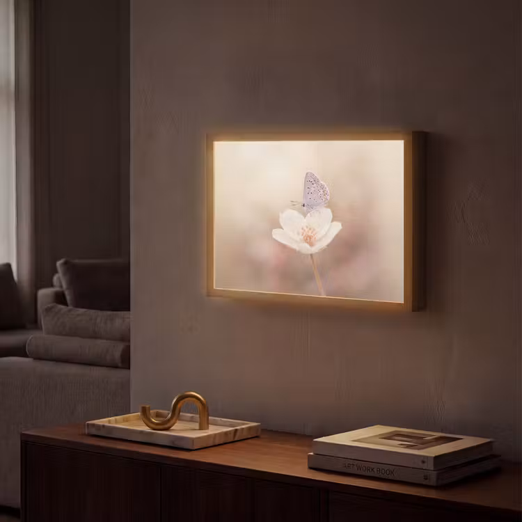 Vlinder - Bloem - Blauw Light Box met batterij (Wandlamp) middel -sfeer1