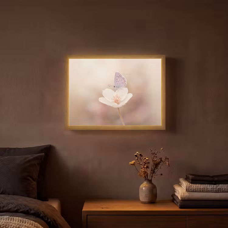 Vlinder - Bloem - Blauw Light Box met batterij (Wandlamp) middel -sfeer4