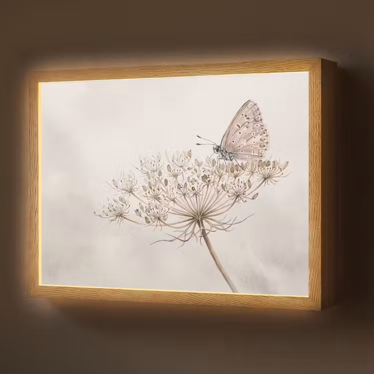 Vlinder - Bloem -Natuur - Beige Light Box met batterij (Wandlamp) middel -z3d_website