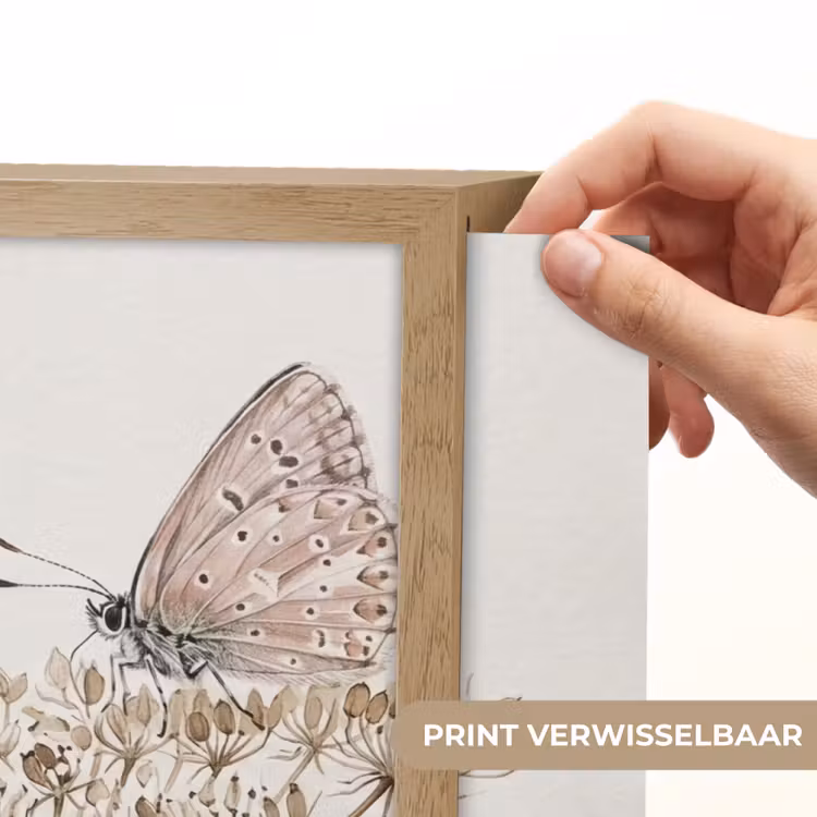 Vlinder - Bloem -Natuur - Beige Light Box met batterij (Wandlamp) middel -USP_websiteprintNL