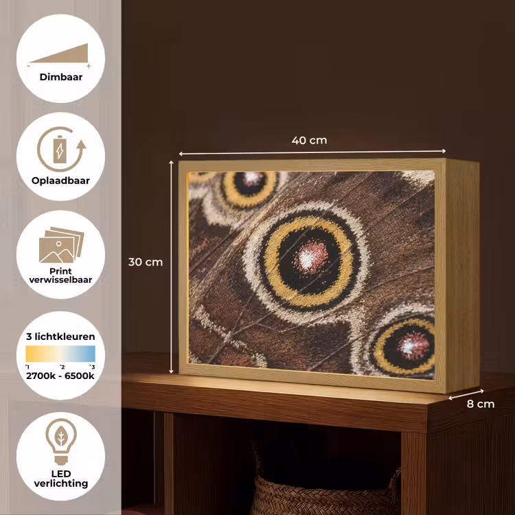 Vlinder - Vleugel - Abstract Light Box met batterij (Wandlamp) middel -USP_websiteoverzichtNL