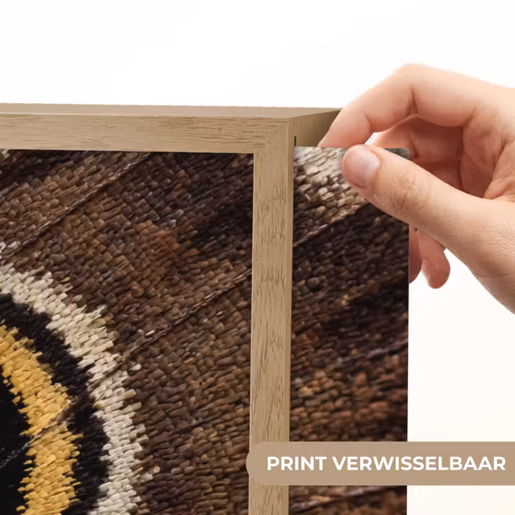 Vlinder - Vleugel - Abstract Light Box met batterij (Wandlamp) middel -USP_websiteprintNL