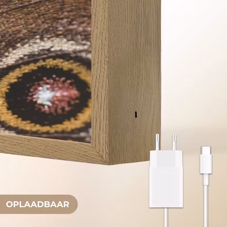 Vlinder - Vleugel - Abstract Light Box met batterij (Wandlamp) middel -USP_websiteoplaadbaarNL