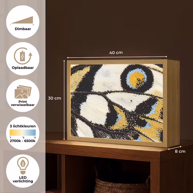 Vlinder - Vleugel - Geel Light Box met batterij (Wandlamp) middel -USP_websiteoverzichtNL