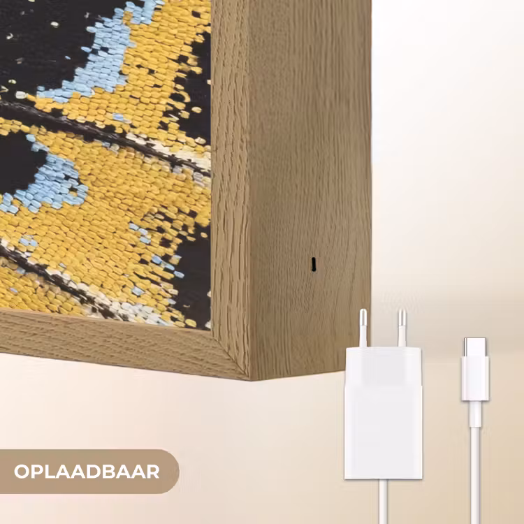 Vlinder - Vleugel - Geel Light Box met batterij (Wandlamp) middel -USP_websiteoplaadbaarNL