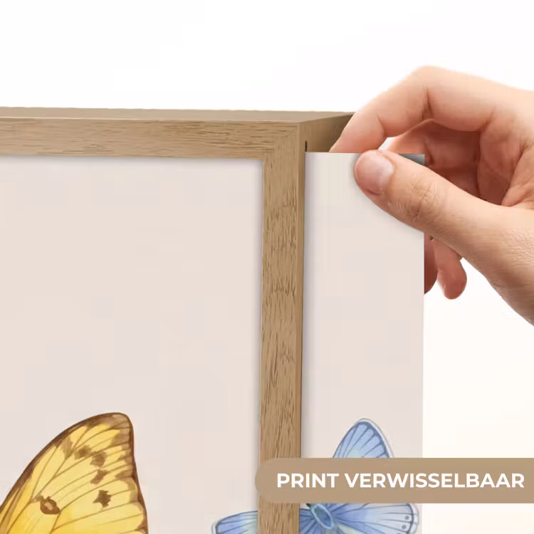 Vlinders - Klaprozen - Illustratie - Kleurrijk Light Box met batterij (Wandlamp) middel -USP_websiteprintNL