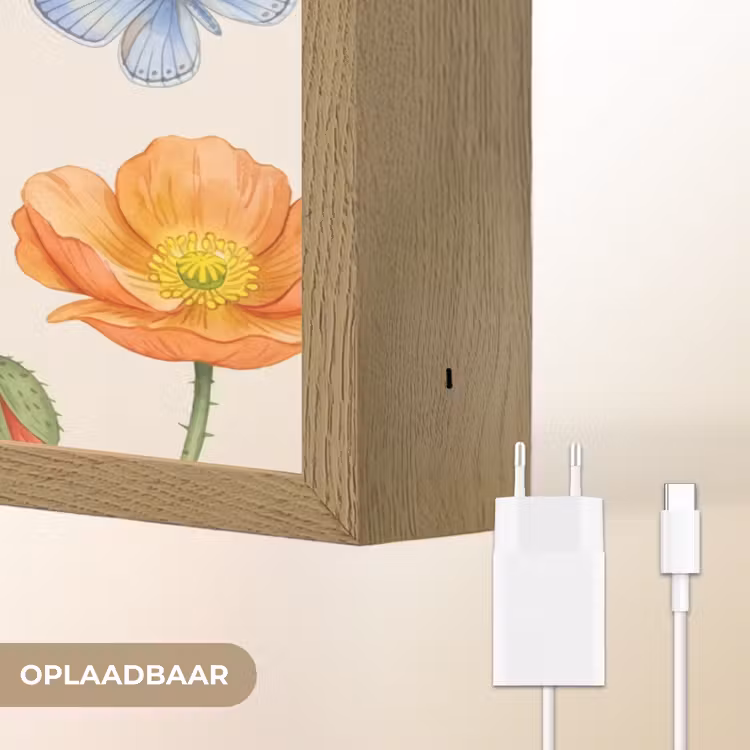 Vlinders - Klaprozen - Illustratie - Kleurrijk Light Box met batterij (Wandlamp) middel -USP_websiteoplaadbaarNL