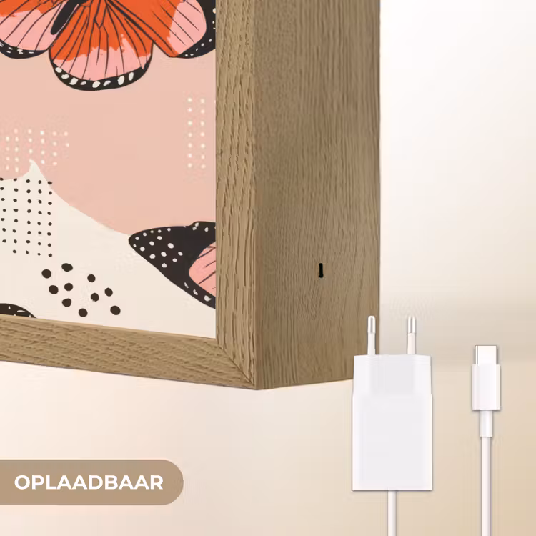 Vlinders - Retro - Kleurrijk Light Box met batterij (Wandlamp) middel 907 -USP_websiteoplaadbaarNL