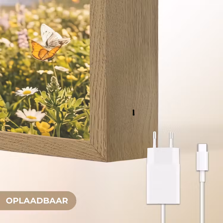 Vlinders - Waterval - Bloemenveld Light Box met batterij (Wandlamp) middel -USP_websiteoplaadbaarNL