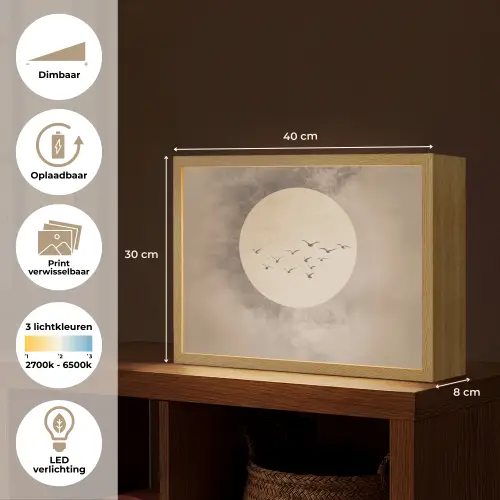 Vogel - Beige - Japandi Light Box met batterij (Wandlamp) middel -USP_websiteoverzichtNL