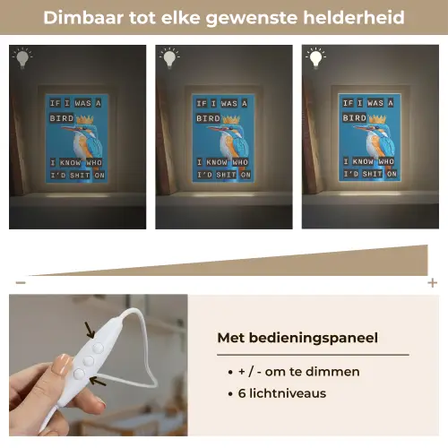 Vogel - Decoratie - Ijsvogel - Blauw Light Box met kabel (Wandlamp) klein -USP_dimbaarNL