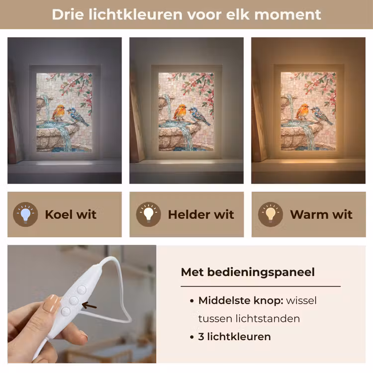 Vogel - fontein - mozaiek - kleurrijk - dieren Light Box met kabel (Wandlamp) klein -USP_lichtkleurNL