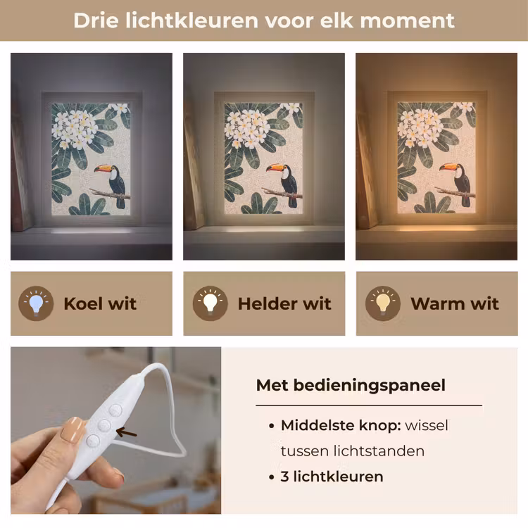 Vogel - Mozaïek - Tropisch - Natuur - Kleurrijk Light Box met kabel (Wandlamp) klein -USP_lichtkleurNL