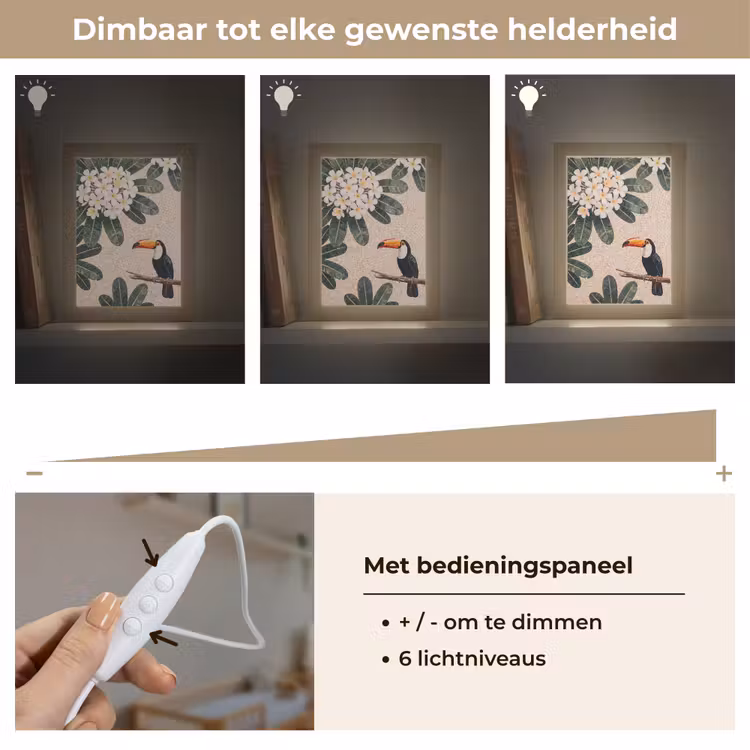 Vogel - Mozaïek - Tropisch - Natuur - Kleurrijk Light Box met kabel (Wandlamp) klein -USP_dimbaarNL