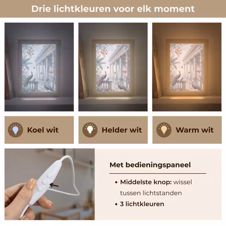 Vogel - Pauw - Architectuur - Klassiek - Groen Light Box met kabel (Wandlamp) klein -USP_lichtkleurNL
