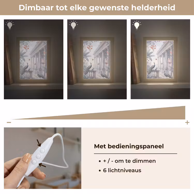 Vogel - Pauw - Architectuur - Klassiek - Groen Light Box met kabel (Wandlamp) klein -USP_dimbaarNL