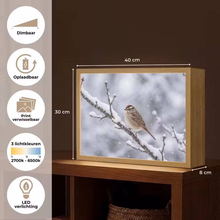 Vogel - Tak - Sneeuw - Winter Light Box met batterij (Wandlamp) middel -USP_websiteoverzichtNL