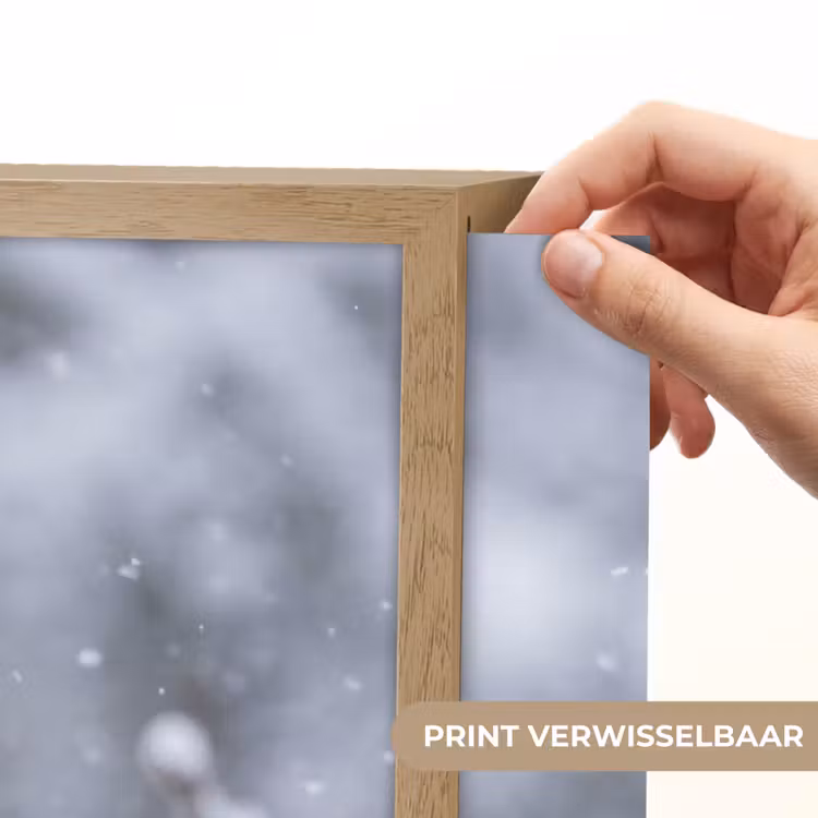 Vogel - Tak - Sneeuw - Winter Light Box met batterij (Wandlamp) middel -USP_websiteprintNL