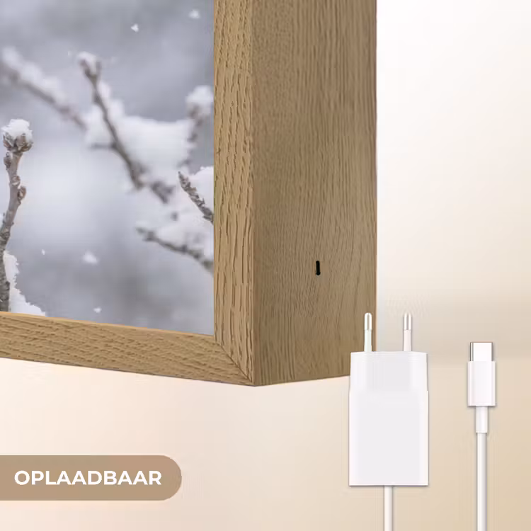 Vogel - Tak - Sneeuw - Winter Light Box met batterij (Wandlamp) middel -USP_websiteoplaadbaarNL