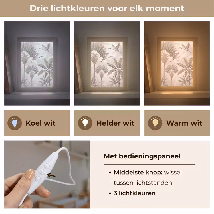 Vogel - Tropisch - Jungle - Natuur - Beige Light Box met kabel (Wandlamp) klein -USP_lichtkleurNL
