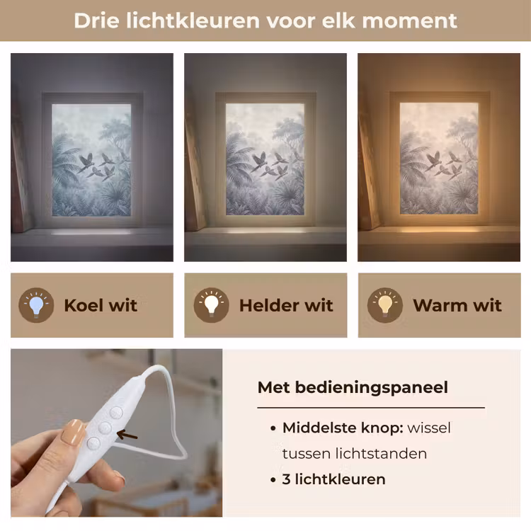 Vogel - Vliegend - Jungle - Vintage - Dieren Light Box met kabel (Wandlamp) klein -USP_lichtkleurNL