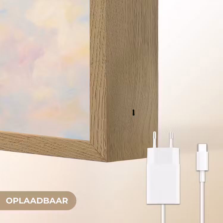 Vogel - Vliegend - Lucht - Modern - Pastel Light Box met batterij (Wandlamp) middel -USP_websiteoplaadbaarNL