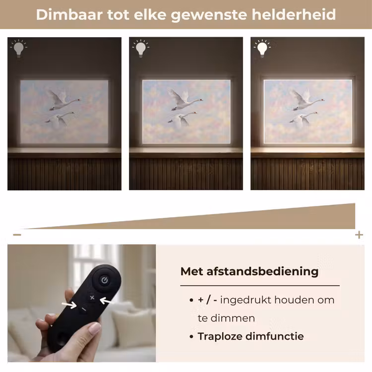 Vogel - Vliegend - Lucht - Modern - Pastel Light Box met batterij (Wandlamp) middel -USP_dimbaarNL