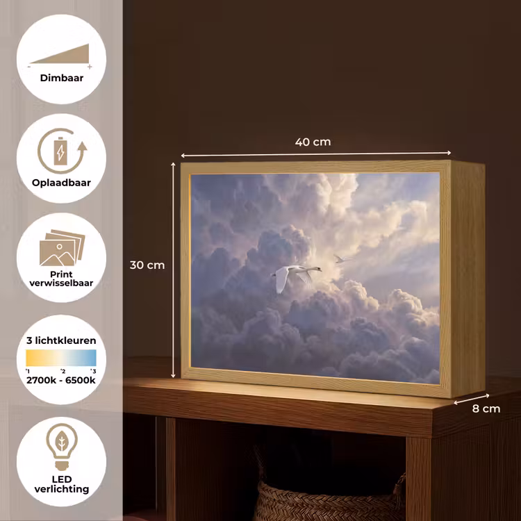 Vogel - Vliegend - Natuur - Wit - Wolken Light Box met batterij (Wandlamp) middel -USP_websiteoverzichtNL