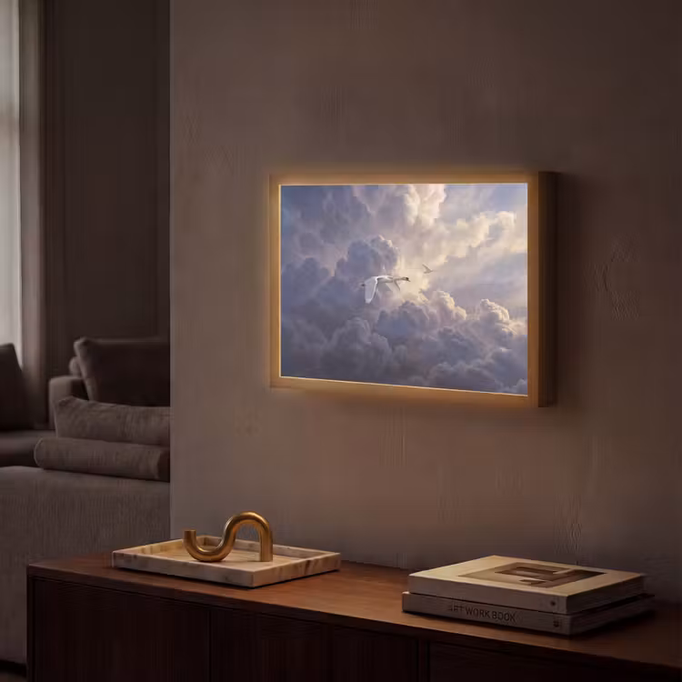 Vogel - Vliegend - Natuur - Wit - Wolken Light Box met batterij (Wandlamp) middel -sfeer1