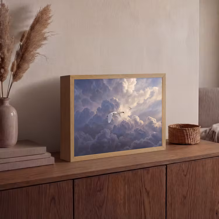 Vogel - Vliegend - Natuur - Wit - Wolken Light Box met batterij (Wandlamp) middel -sfeer2