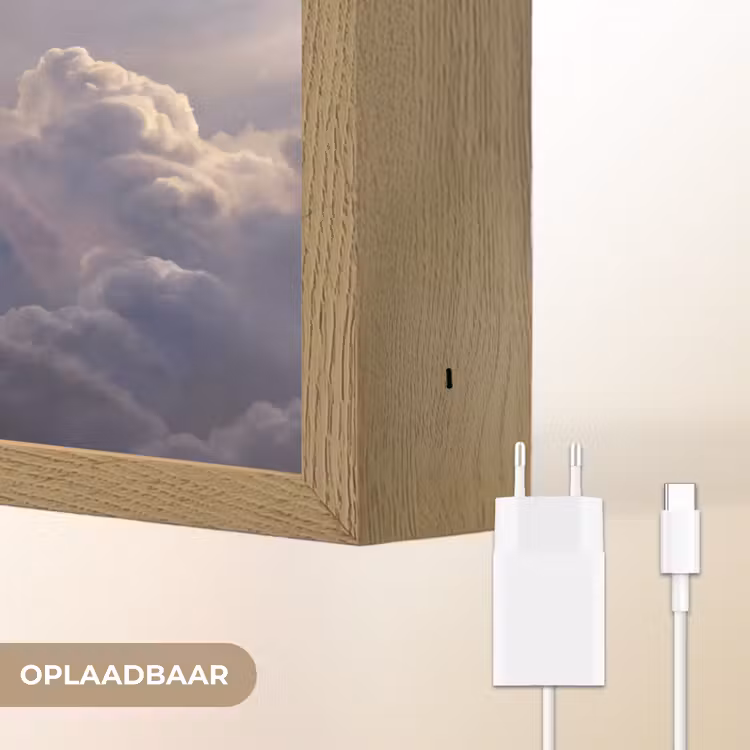 Vogel - Vliegend - Natuur - Wit - Wolken Light Box met batterij (Wandlamp) middel -USP_websiteoplaadbaarNL
