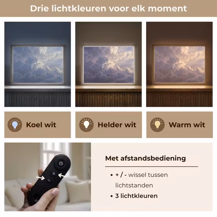 Vogel - Vliegend - Natuur - Wit - Wolken Light Box met batterij (Wandlamp) middel -USP_lichtkleurNL