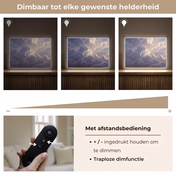 Vogel - Vliegend - Natuur - Wit - Wolken Light Box met batterij (Wandlamp) middel -USP_dimbaarNL