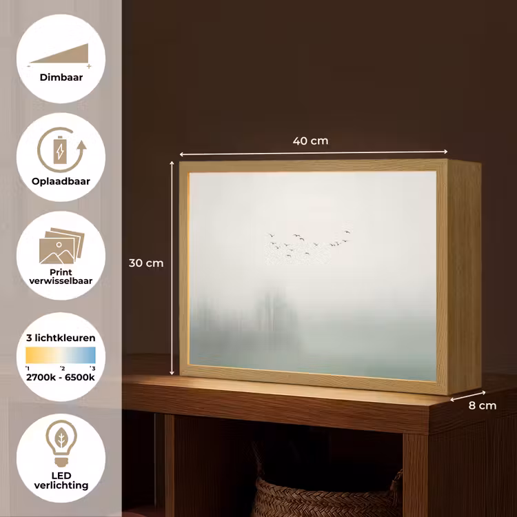 Vogel - Vlucht - Natuur - Minimalistisch Light Box met batterij (Wandlamp) middel -USP_websiteoverzichtNL