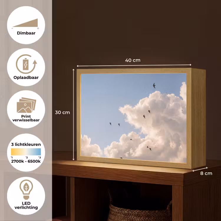 Vogel - Vlucht - Wolken - Natuur - Blauw Light Box met batterij (Wandlamp) middel -USP_websiteoverzichtNL
