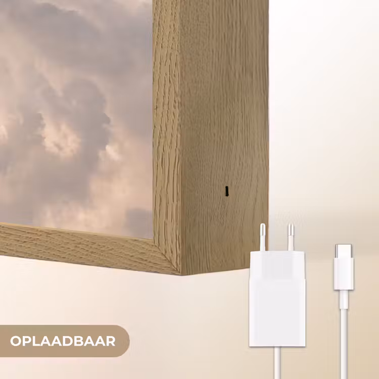 Vogel - Vlucht - Wolken - Natuur - Blauw Light Box met batterij (Wandlamp) middel -USP_websiteoplaadbaarNL
