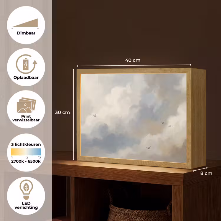 Vogel - Wolken - Natuur - Modern - Grijs Light Box met batterij (Wandlamp) middel -USP_websiteoverzichtNL