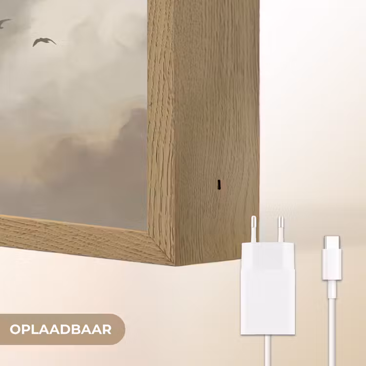 Vogel - Wolken - Natuur - Modern - Grijs Light Box met batterij (Wandlamp) middel -USP_websiteoplaadbaarNL