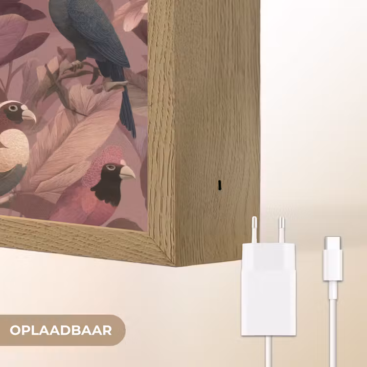 Vogels - Bladeren - Roze Light Box met batterij (Wandlamp) middel 907 -USP_websiteoplaadbaarNL