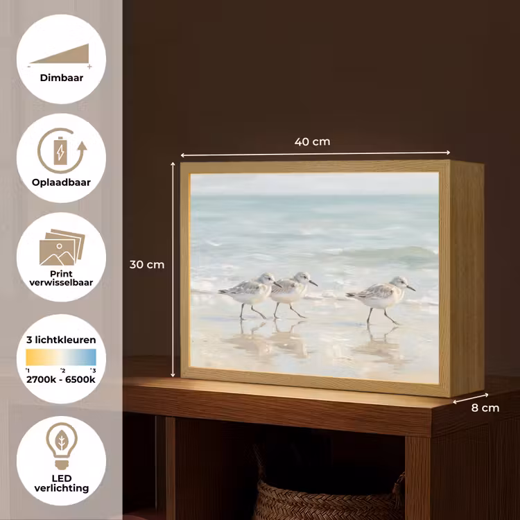 Vogels - Strand - Zee Light Box met batterij (Wandlamp) middel -USP_websiteoverzichtNL