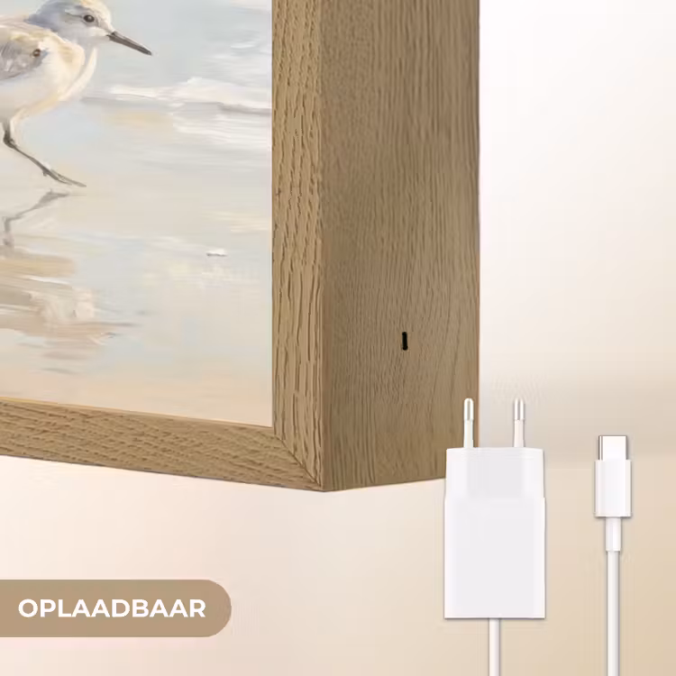 Vogels - Strand - Zee Light Box met batterij (Wandlamp) middel -USP_websiteoplaadbaarNL