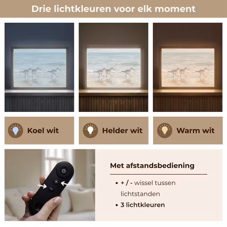 Vogels - Strand - Zee Light Box met batterij (Wandlamp) middel -USP_lichtkleurNL
