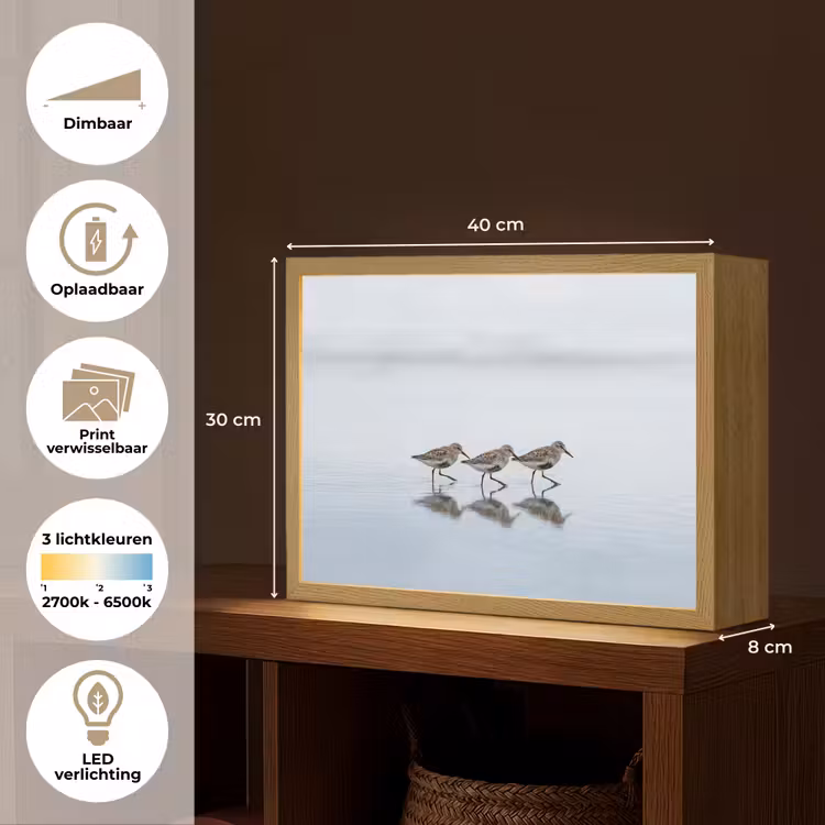 Vogels - Water - Grijs Light Box met batterij (Wandlamp) middel -USP_websiteoverzichtNL